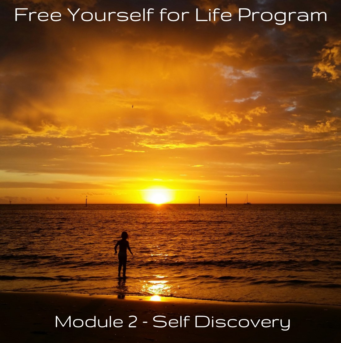 module-2-album-art-self-discovery