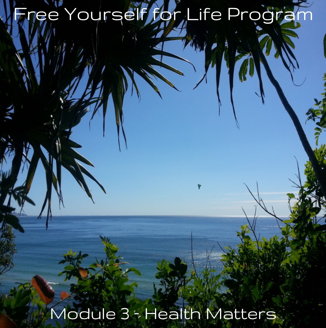 module-3-album-art-health-matters