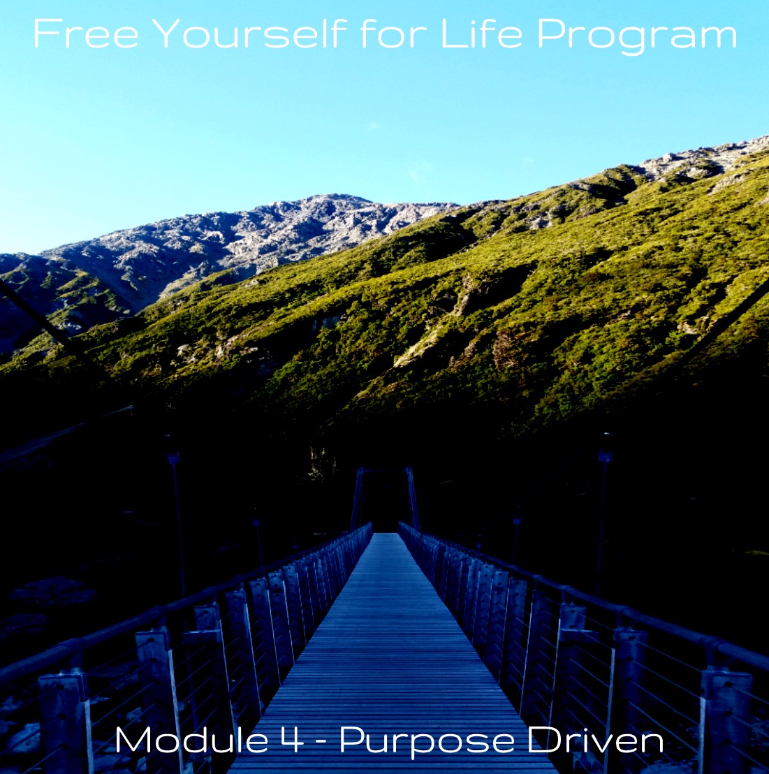 module-4-album-art-purpose-driven